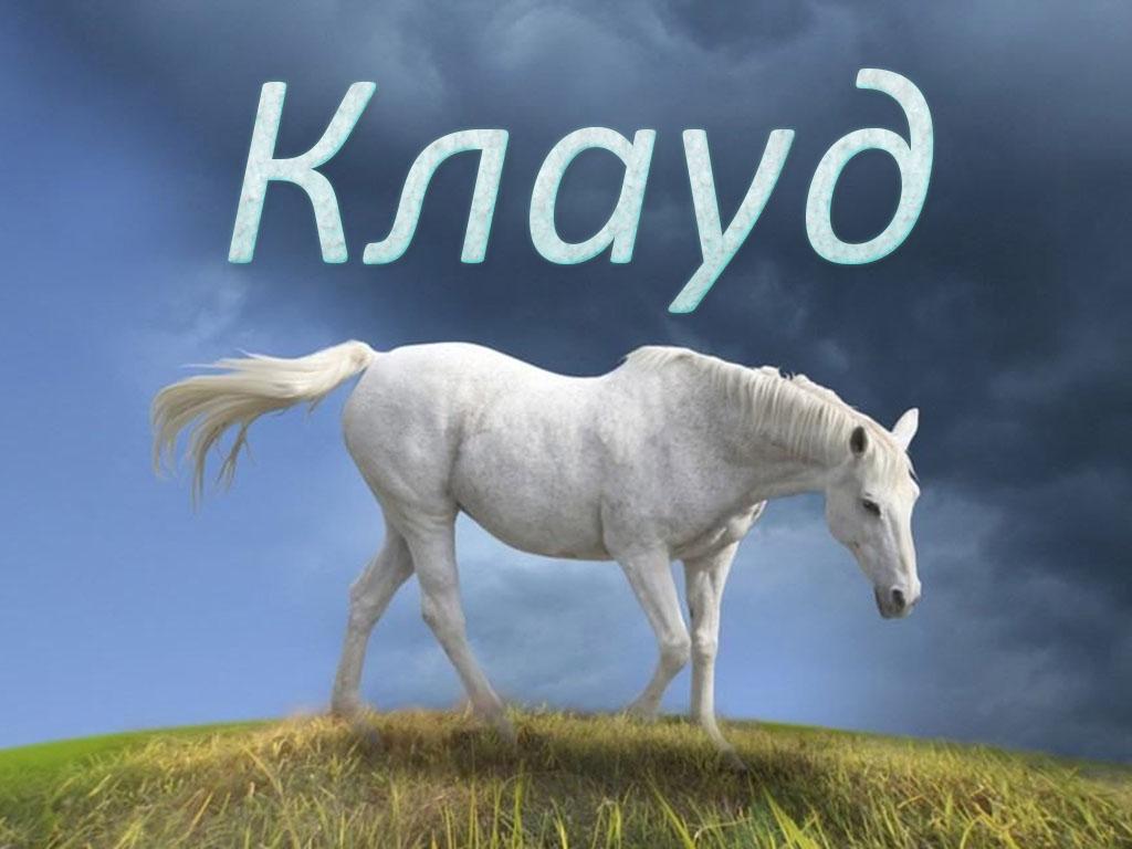 Клауд (klaud) Досуг, хобби