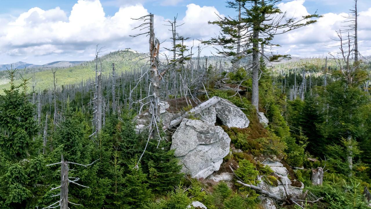 Der Böhmerwald — Eine Wildnis mitten in Europa (der-bhmerwald-eine-wildnis-mitten-in-europa) Документальный фильм