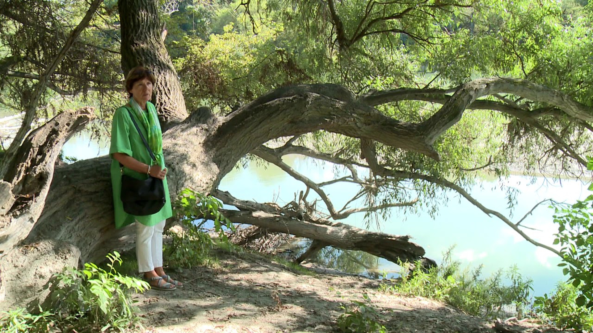 Povolanie laik (povolanie-laik) Познавательное