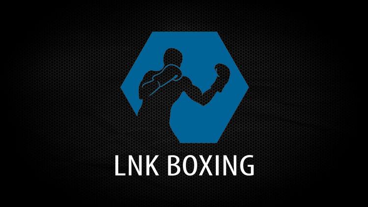 Постер LNK Boxing Night 9, Arena Riga