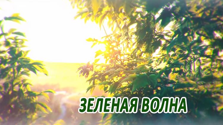 Постер Зелёная волна