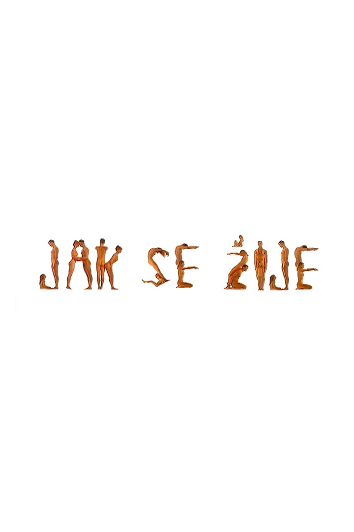 Jak se žije kočkám podle Drahomíry Vihanové (jak-se-ije-kokm-podle-drahomry-vihanov) Познавательное