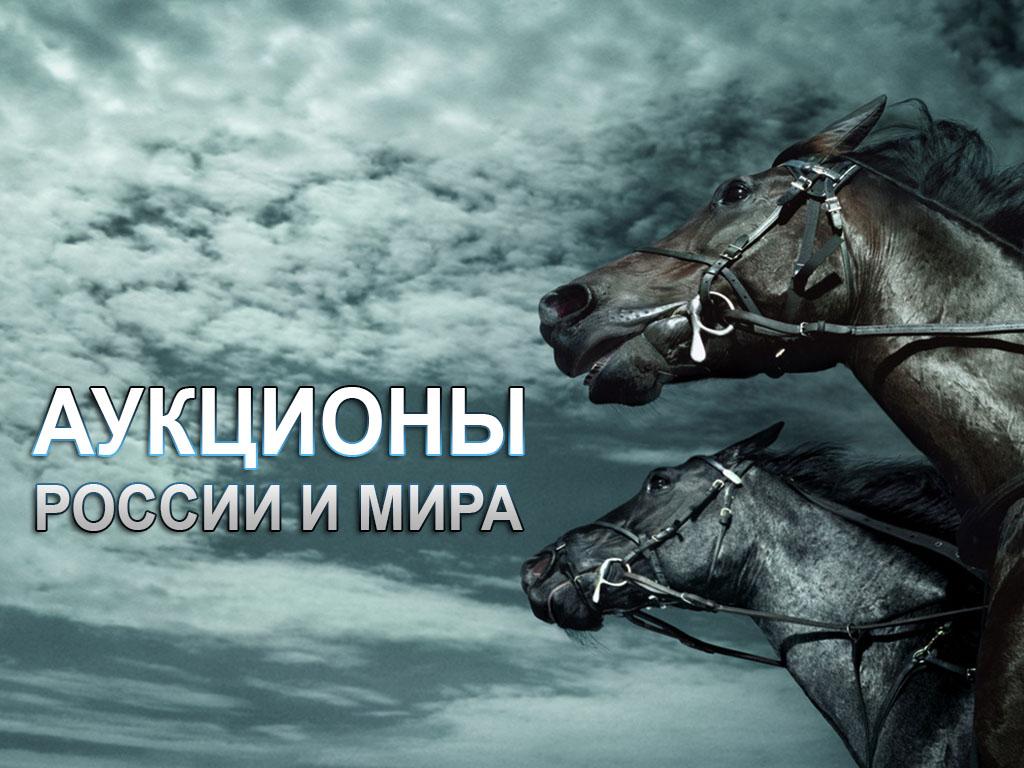 Аукционы России и мира (auktsiony-rossii-i-mira) ТВ-шоу