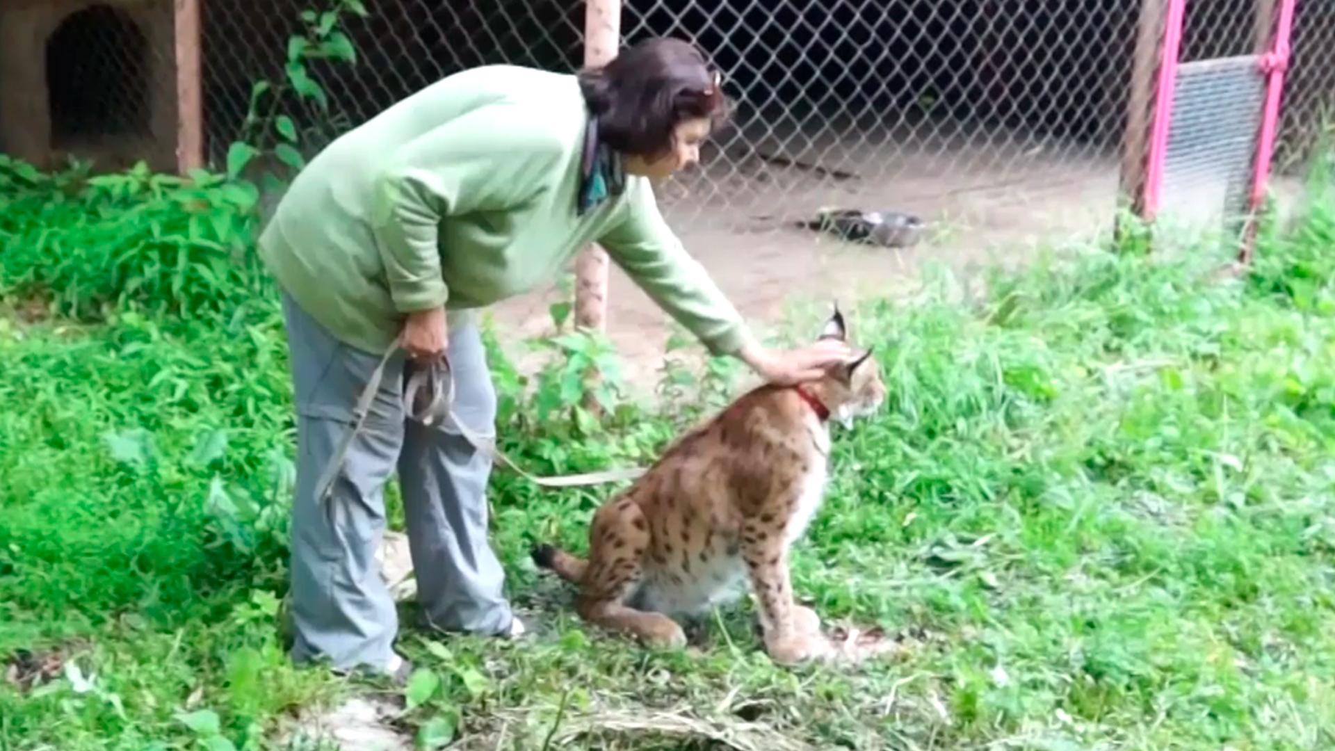 Городские сумасшедшие (gorodskie-sumasshedshie) Досуг, хобби