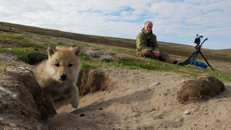 Постер Snow Wolf Family and Me