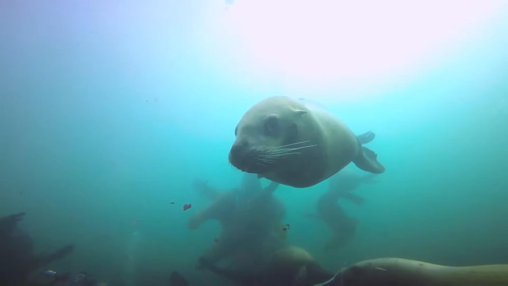 Релакс Камчатка (relaks-kamchatka) Досуг, хобби