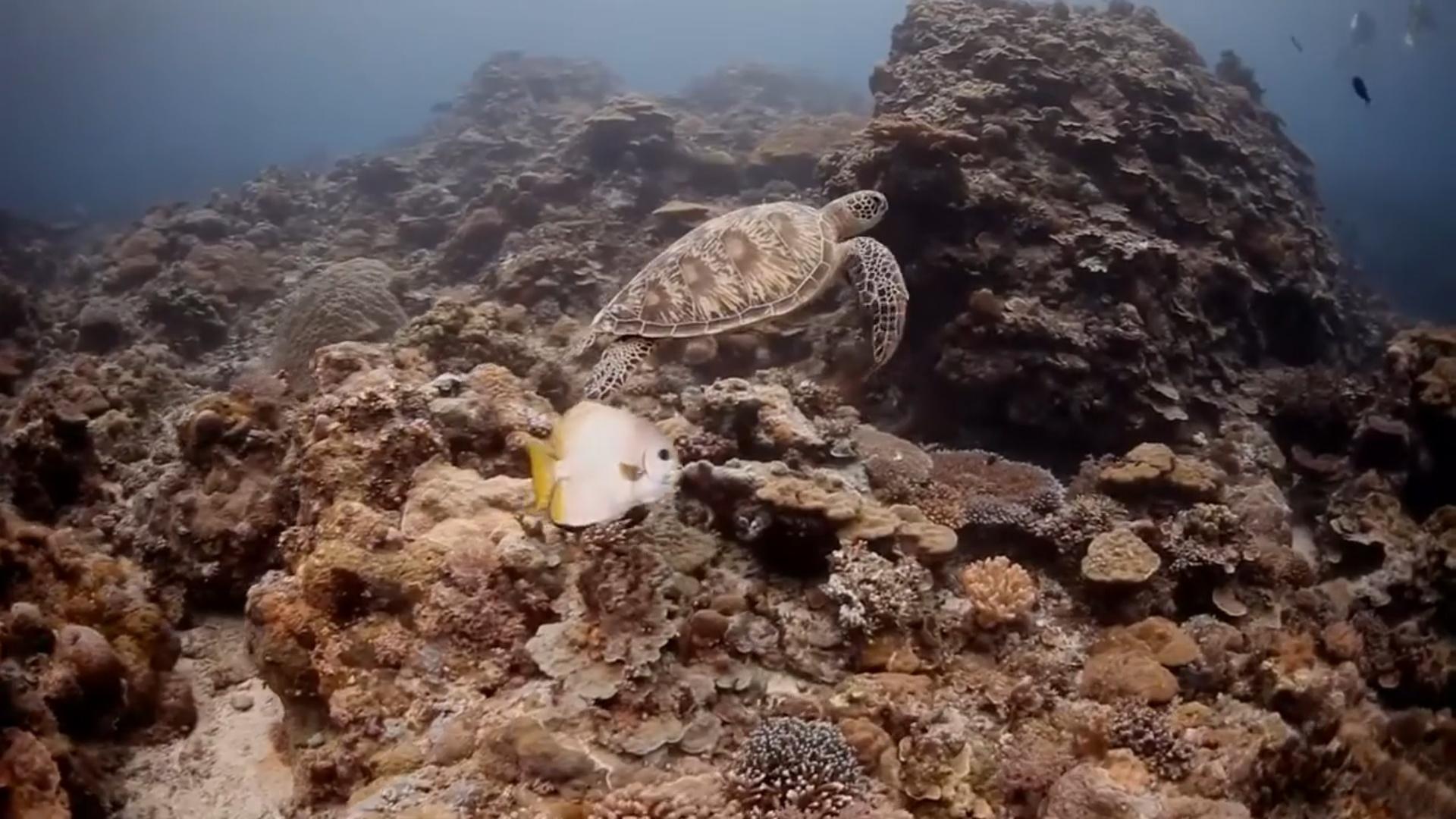 Релакс Океан (relaks-okean) Досуг, хобби