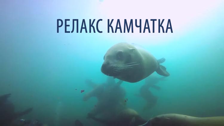 Постер Релакс Камчатка