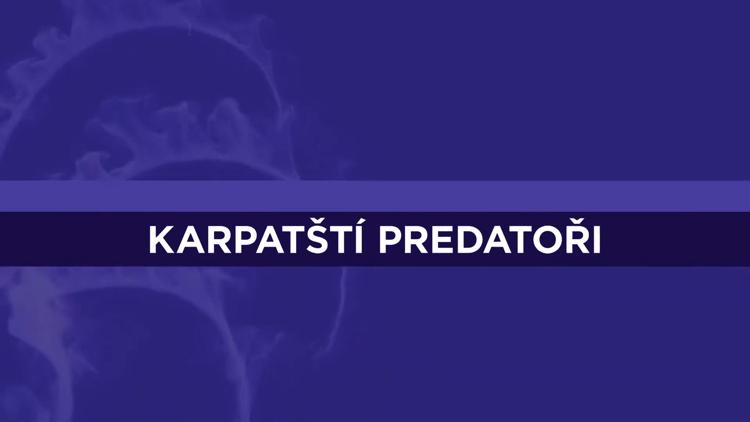 Постер Carpathian Predators