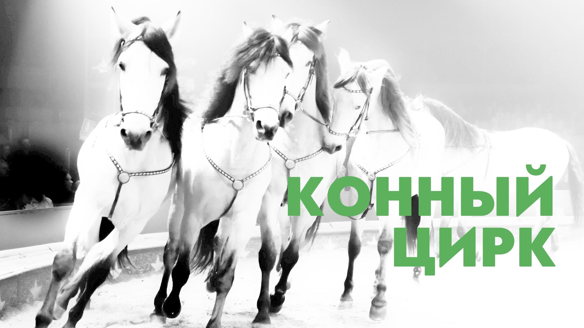 Конный цирк (konnyj-tsirk) Досуг, хобби