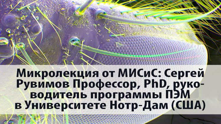 Постер Микролекция от МИСиС: Сергей Рувимов Профессор, PhD, руководитель программы ПЭМ в Университете Нотр-Дам (США)