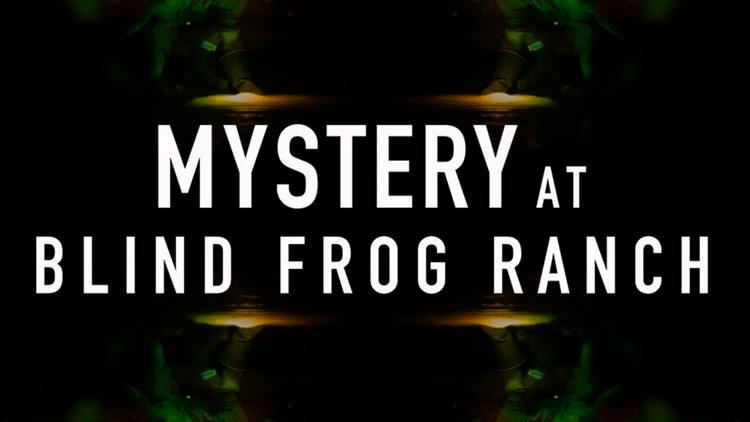 Постер Mystery at Frog Ranch