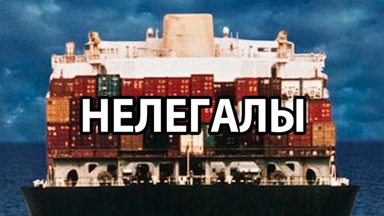 Постер Нелегалы