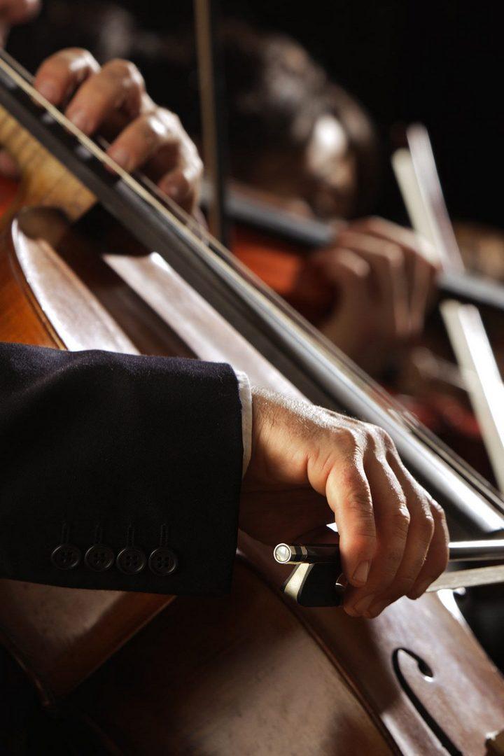 Vyana Filarmonik Orkestrinin konserti (vyana-filarmonik-orkestrinin-konserti) Музыка