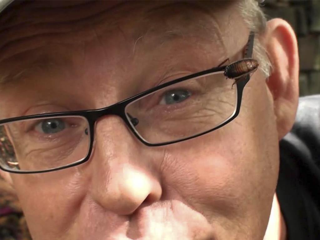 Рууд и его жуки (ruud-i-ego-zhuki) Документальный сериал