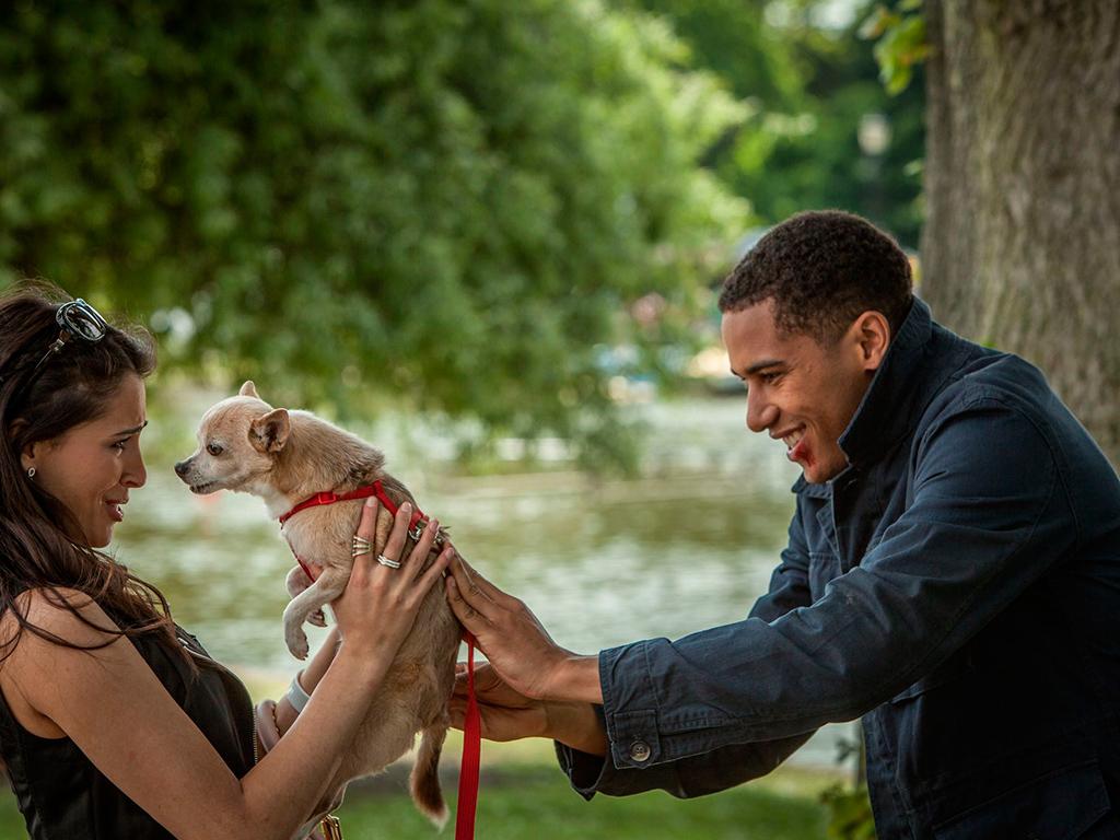 Любыми средствами (ljubymi-sredstvami) Сериал 2013