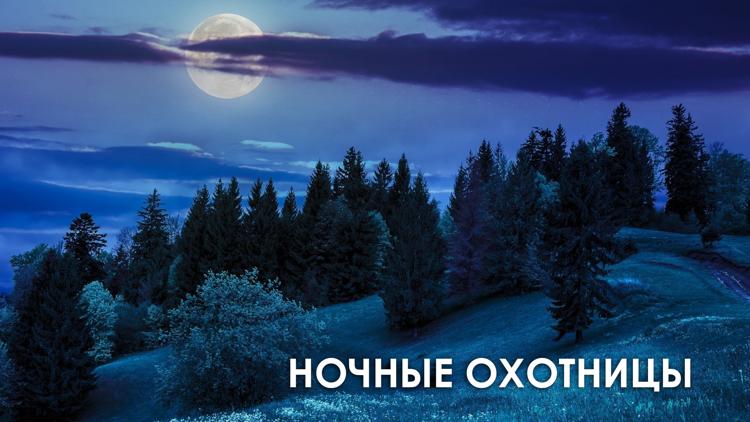 Постер Ночные охотницы