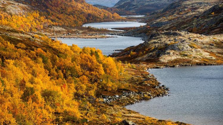 Постер Кольская осень