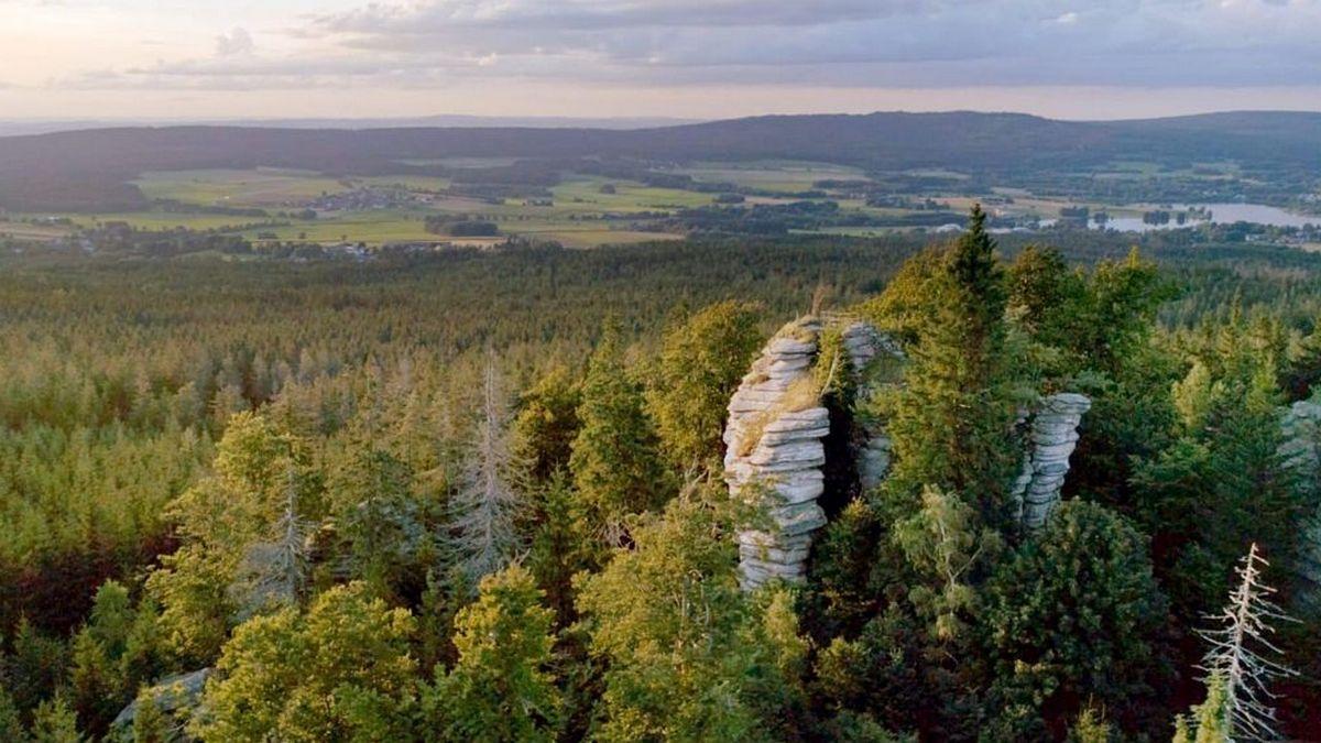La passion de la montagne d'un forestier bavarois (la-passion-de-la-montagne-dun-forestier-bavarois) Документальный фильм