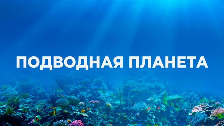 Постер Подводная планета