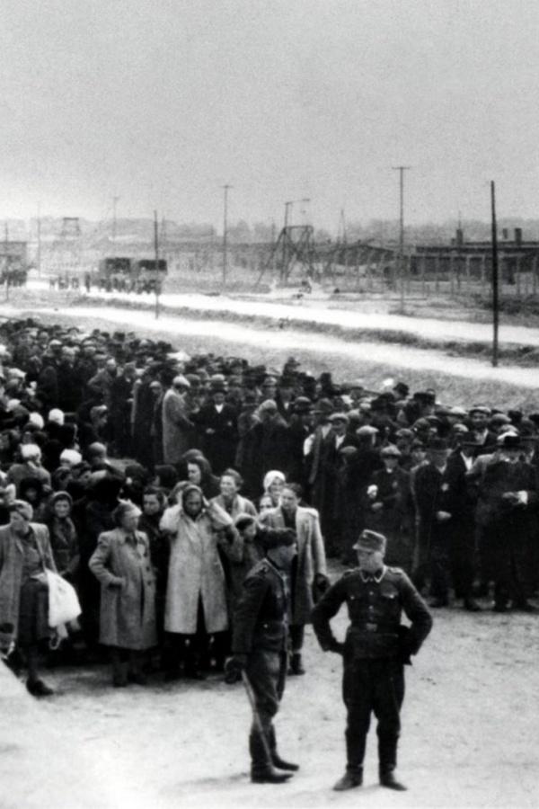 Обдурити Гітлера: виживання у Голокост (obduriti-gtlera-vizhivannja-u-golokost) Документальный фильм
