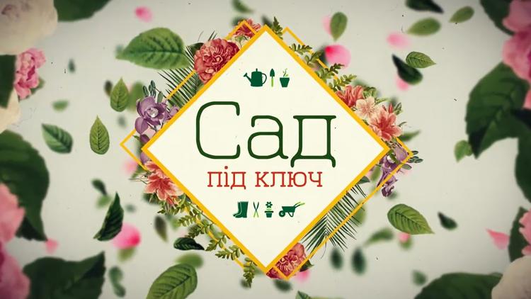 Постер Сад под ключ