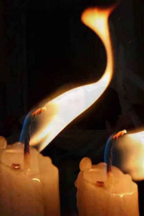 Veniti de Luati Lumina (veniti-de-luati-lumina) Познавательное