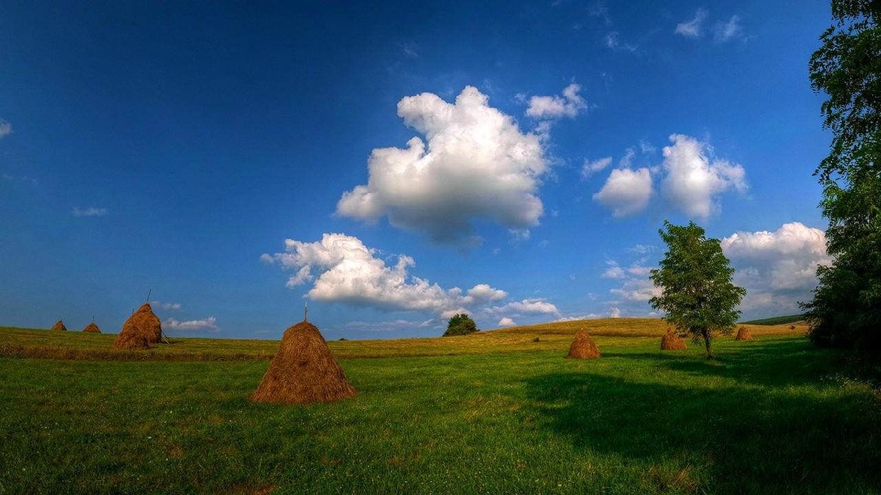 Plaiuri românești (plaiuri-romneti) Познавательное