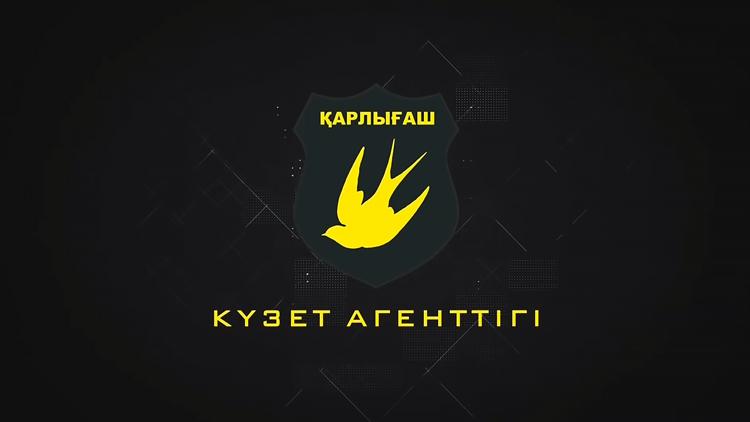 Постер Қарлығаш күзет агенттігі