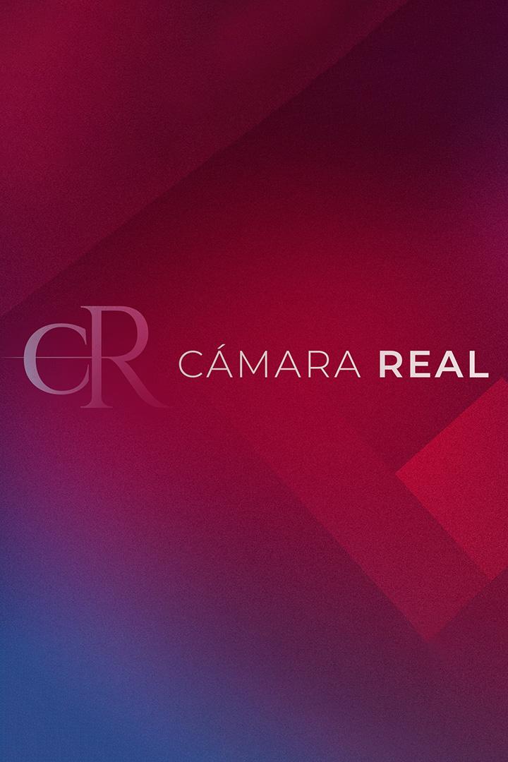 Camara real (camara-real) Другое