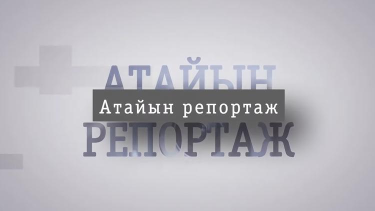 Постер Специальный репортаж