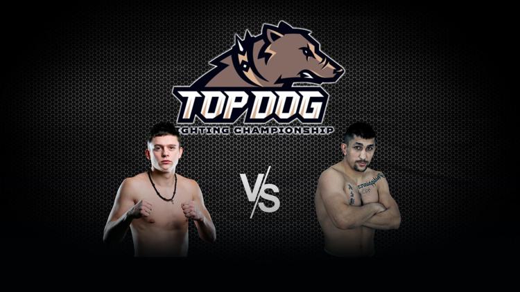 Постер Top Dog FC 6. Артур «Гром» Давыденко vs Георгий «Тренер» Элоян