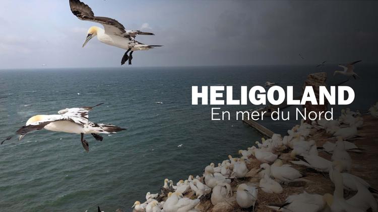 Постер Heligoland en mer du Nord