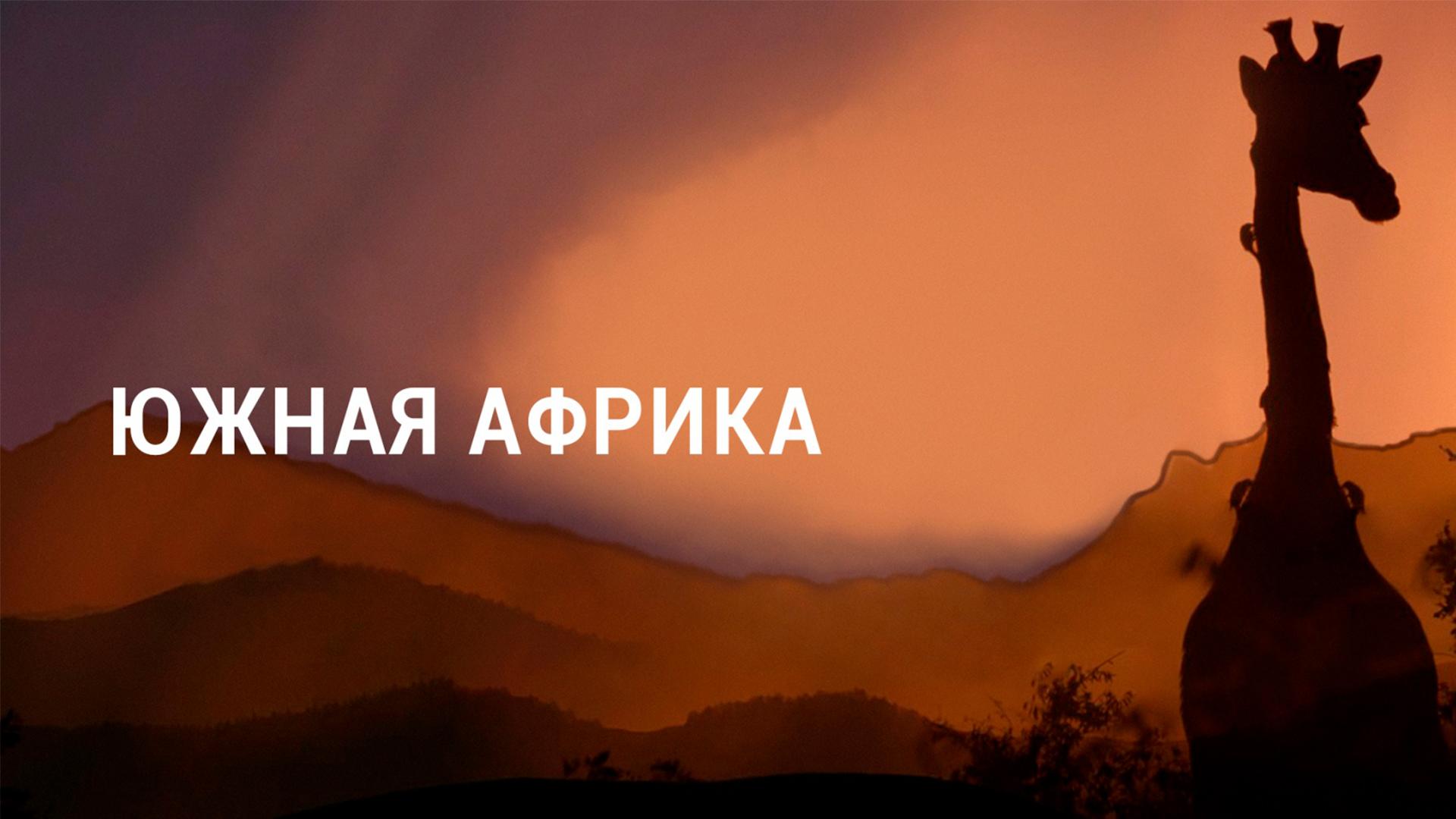 Цвет Южной Африки (tsvet-juzhnoj-afriki) Документальный сериал