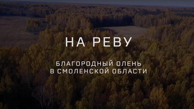 Постер На реву. Благородный олень в Смоленской области