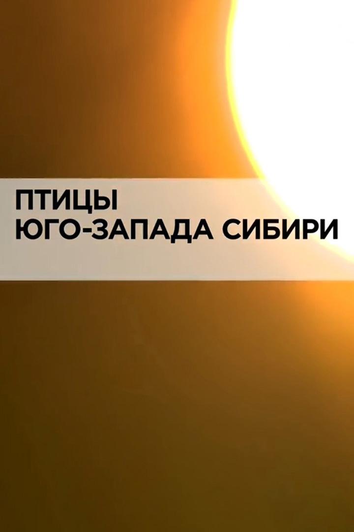 Птицы Юго-Запада Сибири (ptitsy-jugo-zapada-sibiri) Документальный фильм
