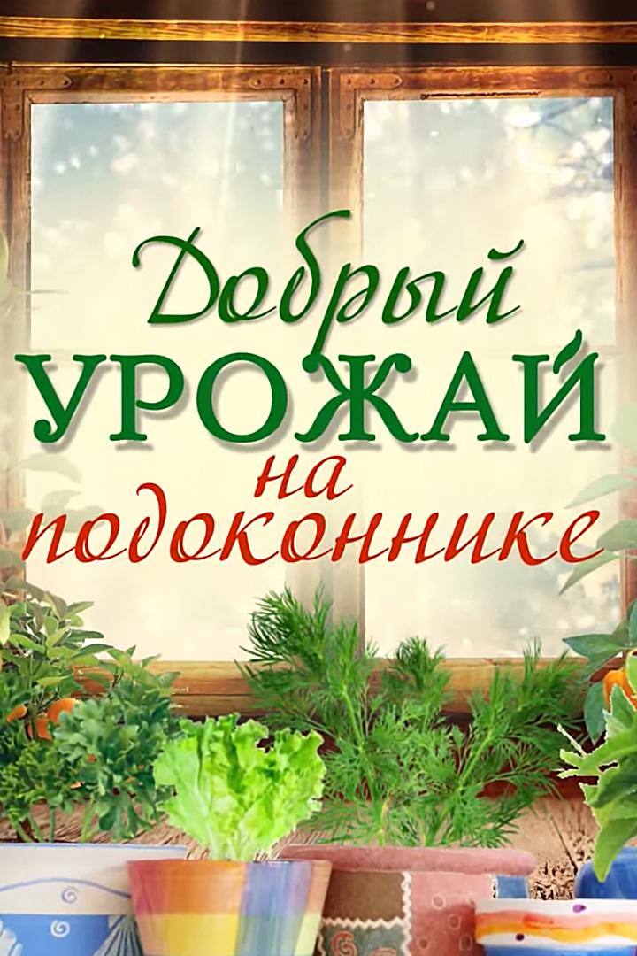 Добрый урожай на подоконнике (dobryj-urozhaj-na-podokonnike) Досуг, хобби