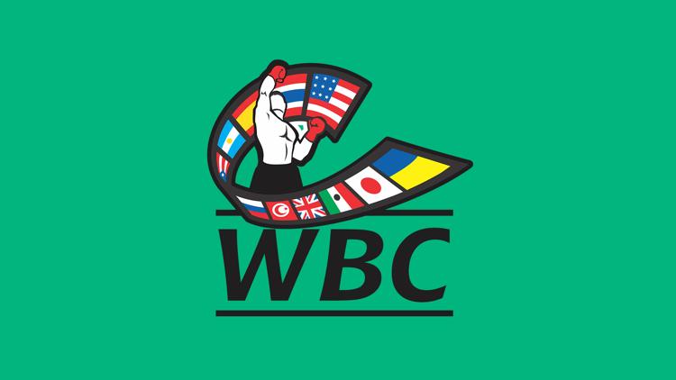 Постер Поединок за титулы чемпионов мира по версиям WBC