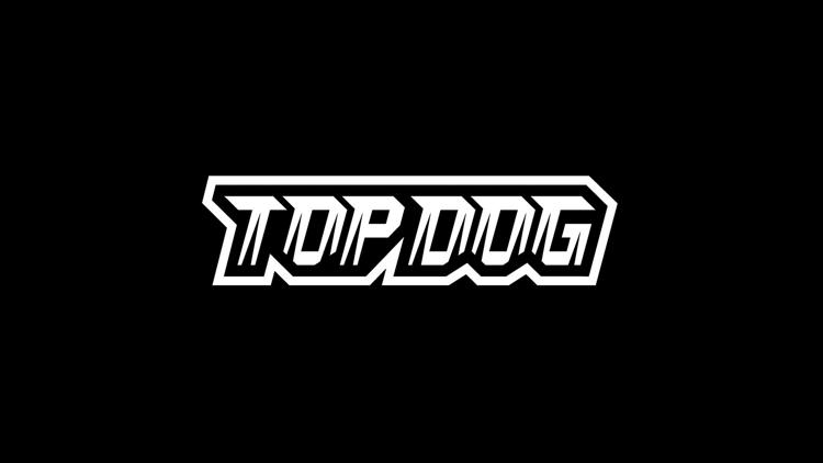 Постер Top Dog FC 12. Конференция