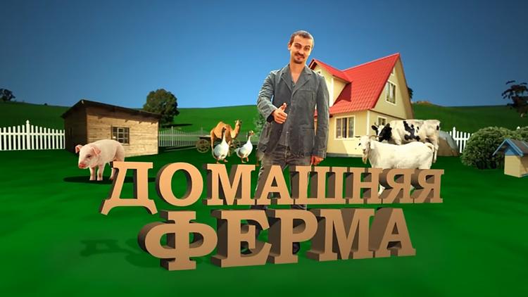 Постер Домашняя ферма