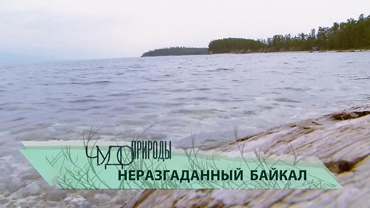 Постер Чудо природы. Неразгаданный Байкал