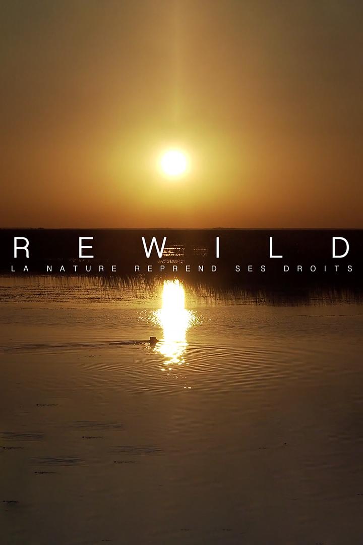 Rewild, la nature reprend ses droits (rewild-la-nature-reprend-ses-droits) Документальный фильм