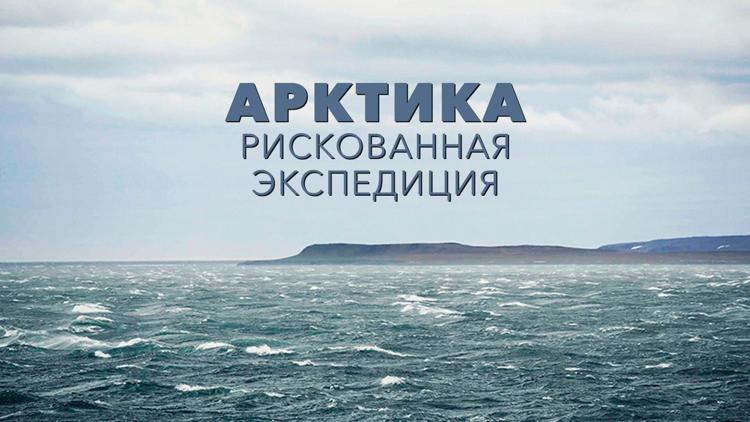 Постер Арктика