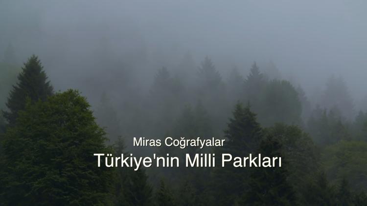 Постер Milli Parklar