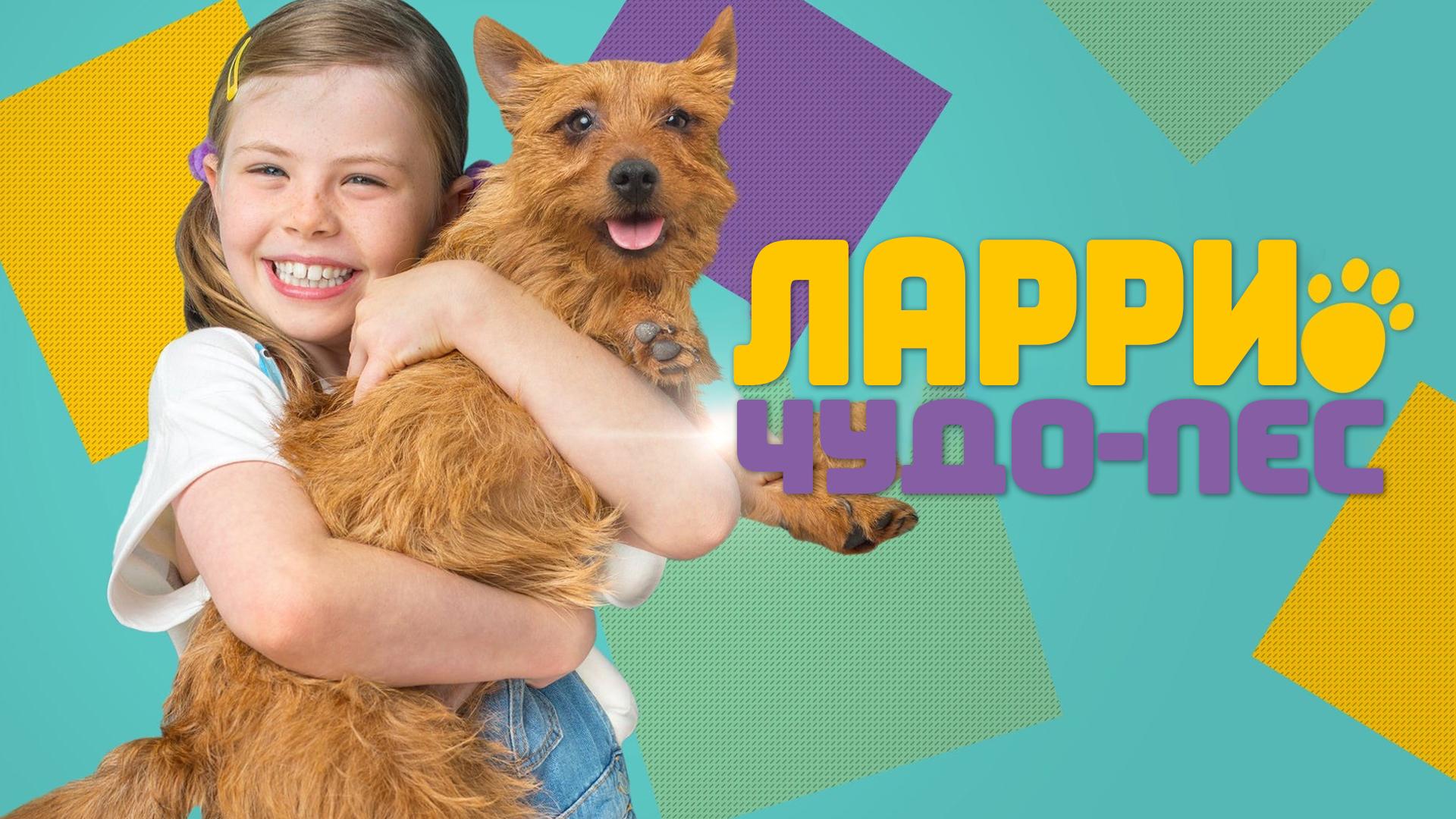 Ларри, чудо-пёс (larri-chudo-pes) Сериал 2018