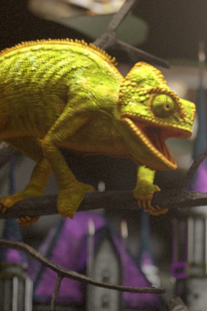 Дом для рептилий (dom-dlja-reptilij) Реалити-шоу