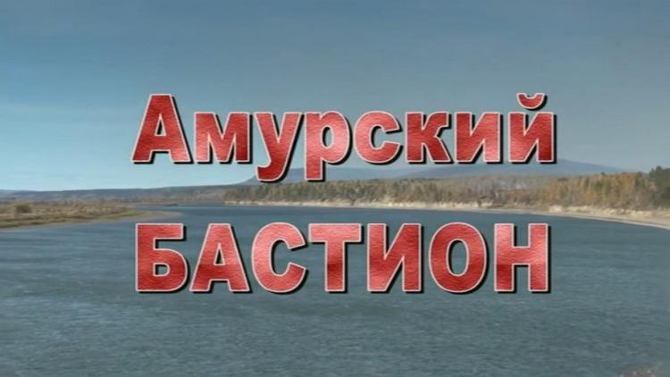 Постер Амурский бастион