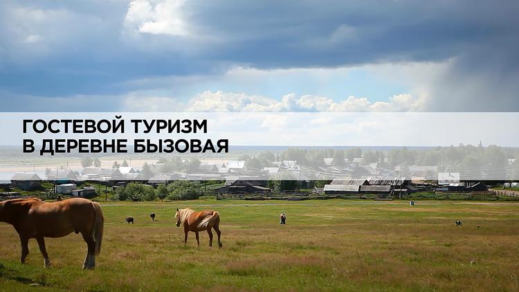 Постер Гостевой туризм в деревне Бызовая