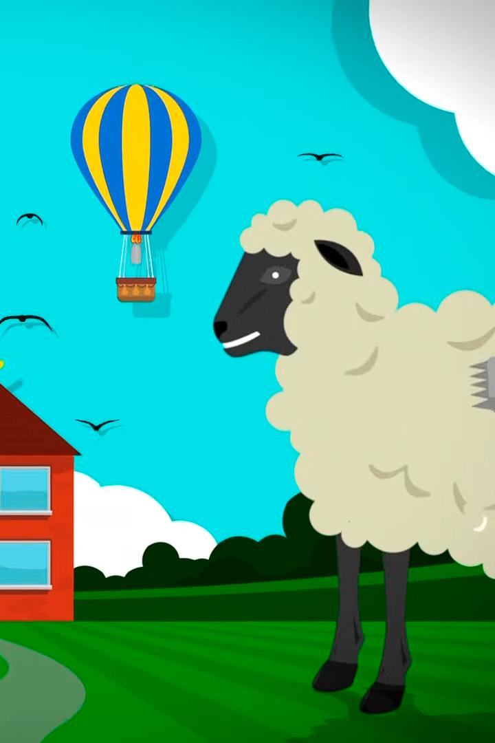 Biliyor musun? (biliyor-musun) Другое