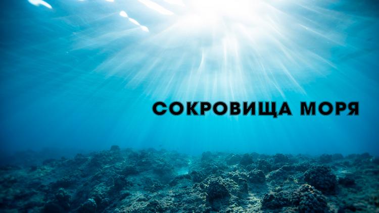 Постер Сокровища моря